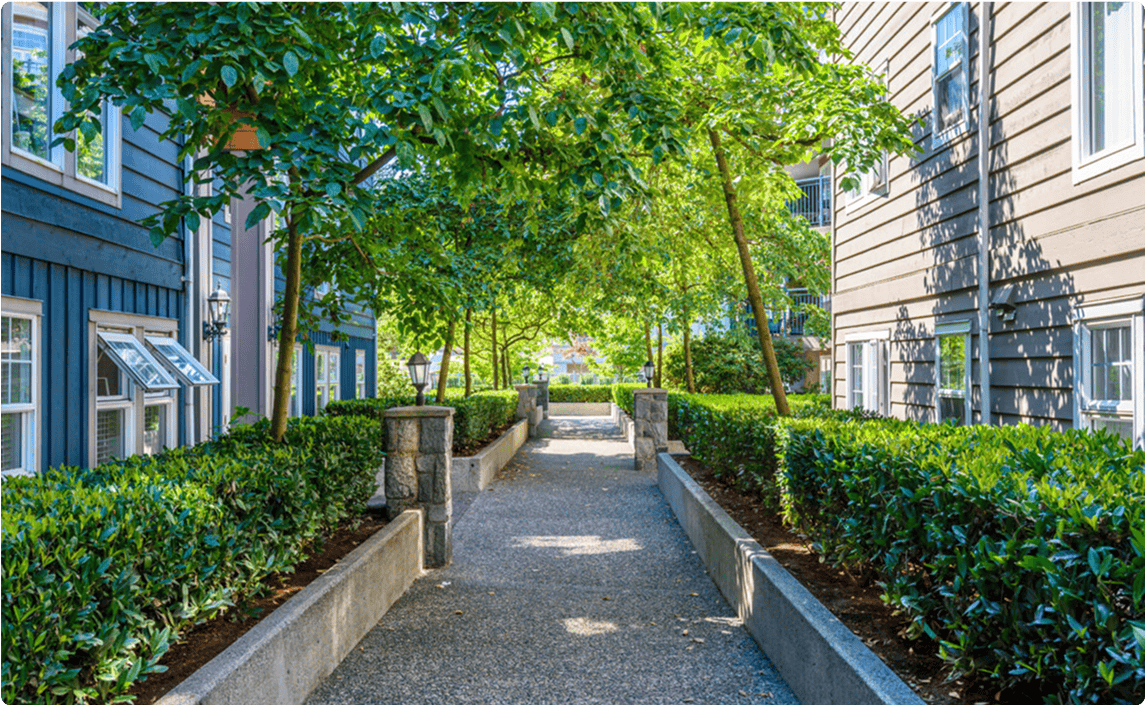 An ardent path between two housing units.