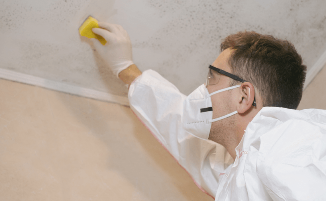 A worker treating mould on a ceiling.
