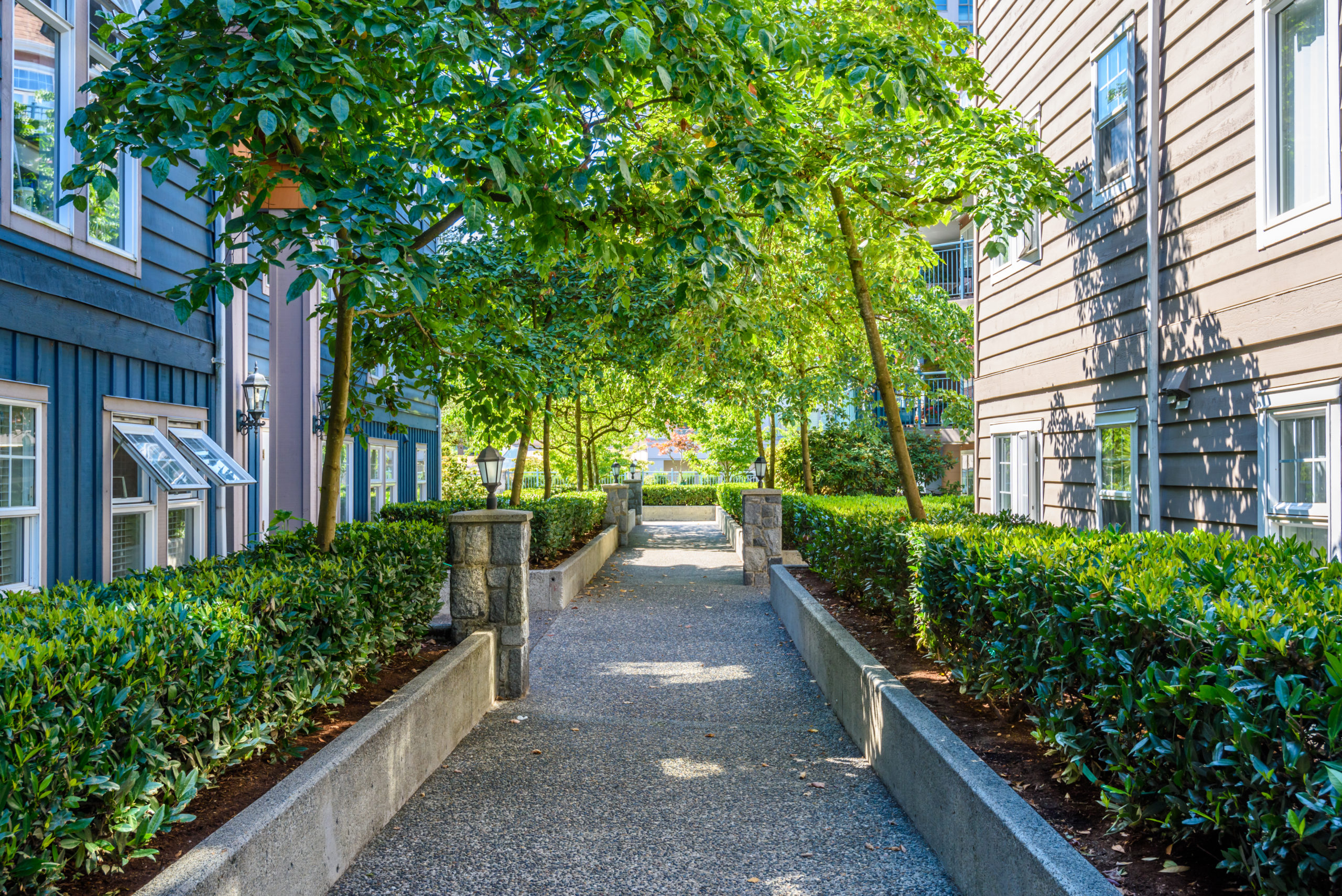 An ardent pathway with sun trickling through onto a a shale pathway between 2 homes.
